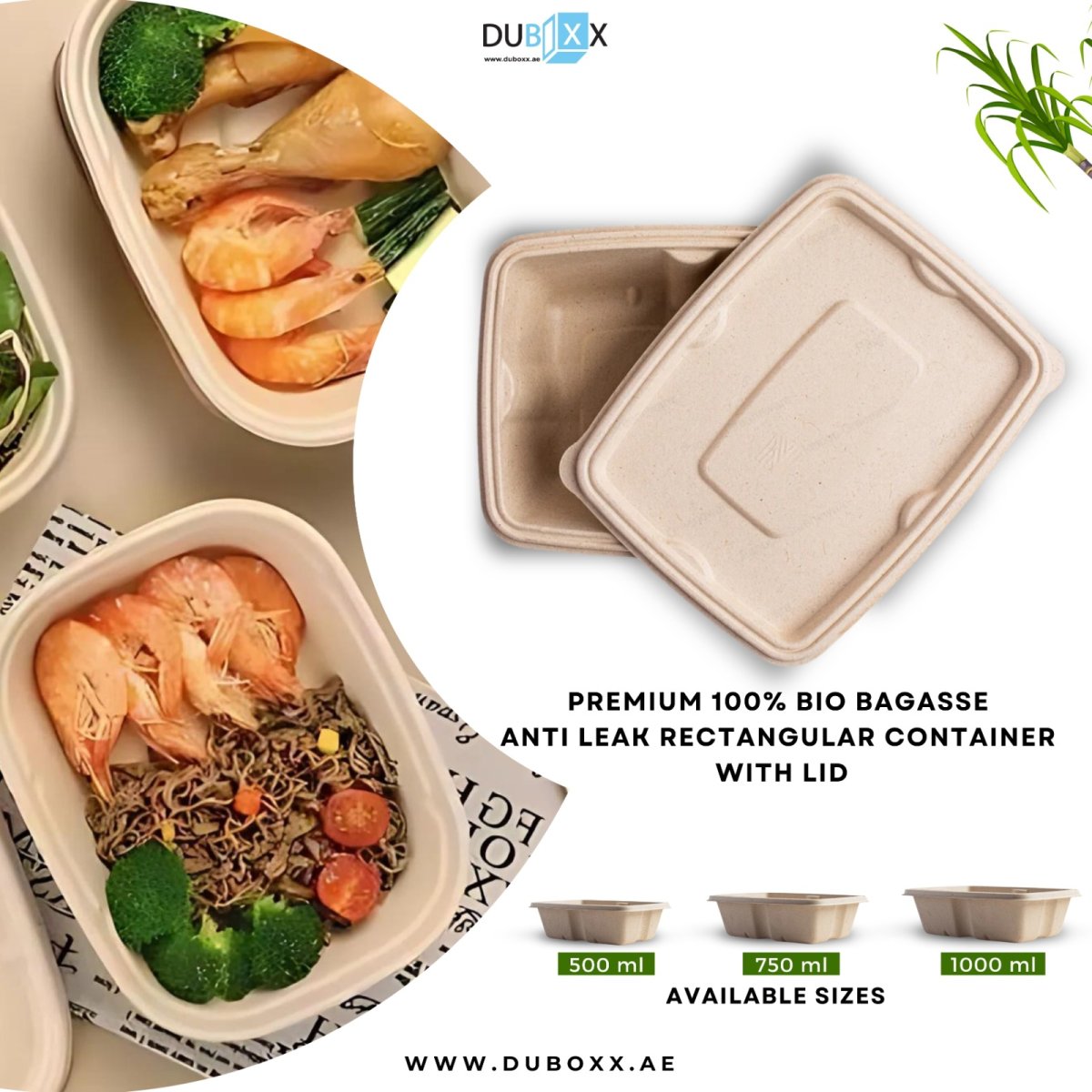 Take Away Food Packaging in the UAE: The 2026 Business Guide