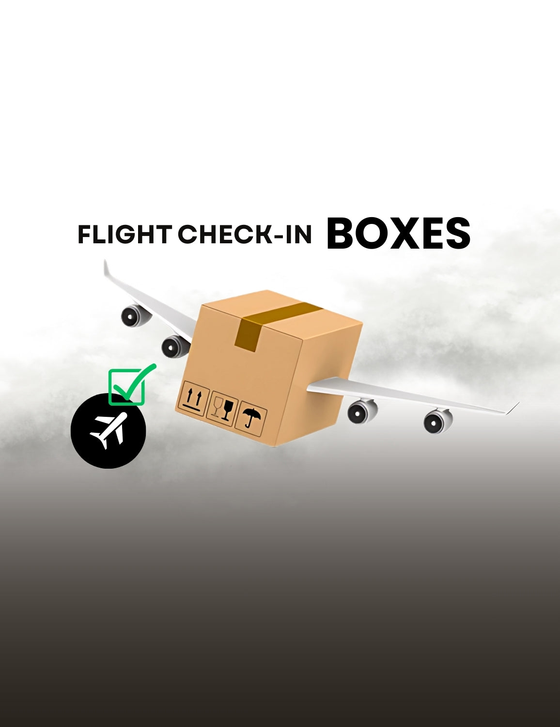 Flight check-in Boxes