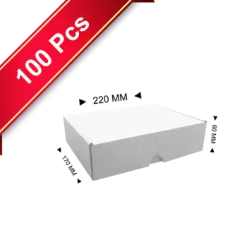 E-Commerce Boxes Mailer-2 Box 23x18x6 CM 100 Psc-White