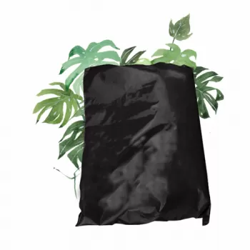 Biodegradable Bags Black-26x33+4CM-25Psc
